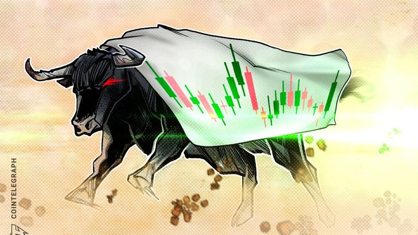 Preparing for the Crypto Bull Run: Insights from Experienced Traders