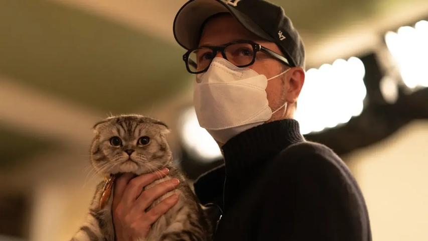 Matthew Vaughn Used His Daughter's Cat in His New Movie 'Argylle'