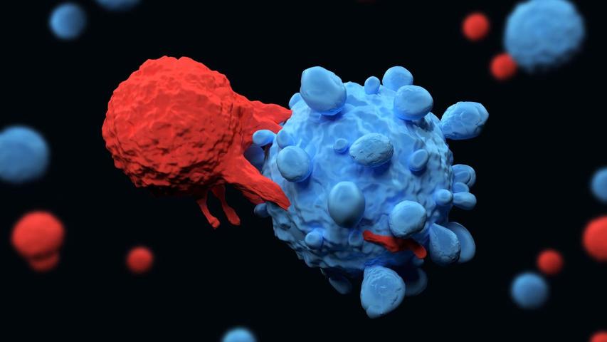 CAR T Cell Therapy: What to Know About the FDA's Concerns