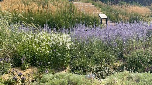 Cool Gardens at Assiniboine Park