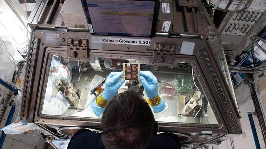 Space Travel's Hidden Cost: Muscle Loss