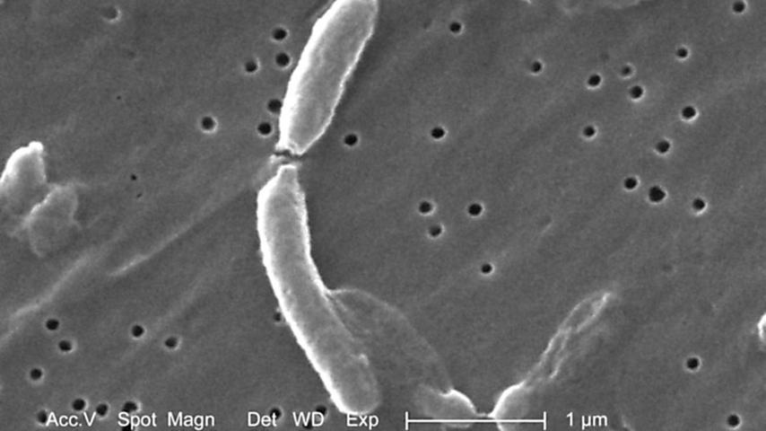 Cholera and the Weather