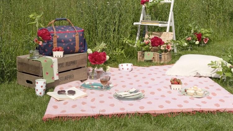 Five Essentials For The Perfect Picnic