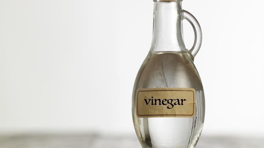 Can Dogs Have Vinegar?