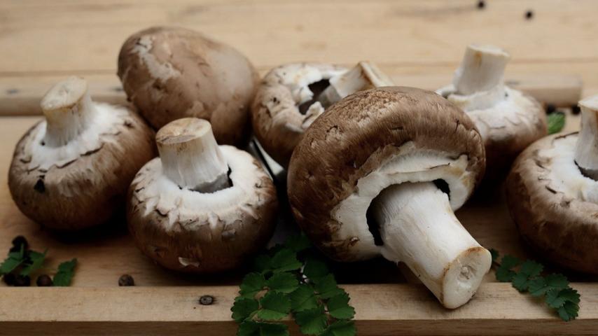 Mushrooms: Your Secret Muscle Recovery Weapon