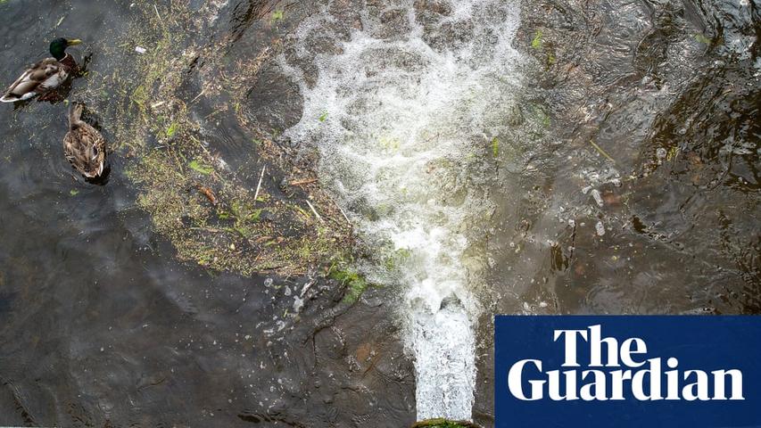 Water Bosses Could Go to Jail for Hiding Sewage