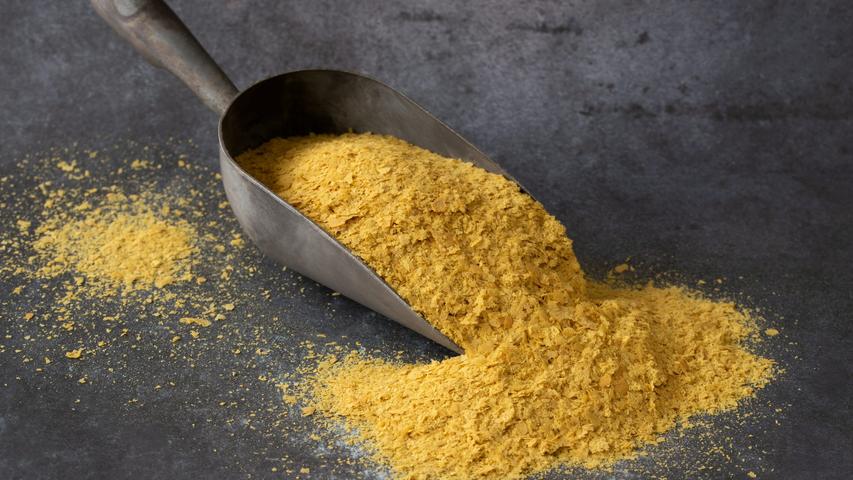 Is Nutritional Yeast Safe for Dogs?