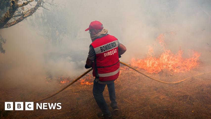 Portugal's Wildfires: EU Sends Help