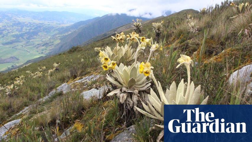 Lost Plant Kingdoms: 33 'Dark Spots' of Biodiversity