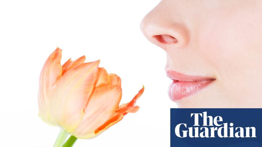 People Without a Sense of Smell Breathe Differently