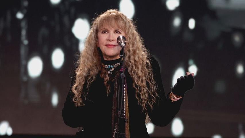 Stevie Nicks: Pregnancy Would Have Destroyed Fleetwood Mac