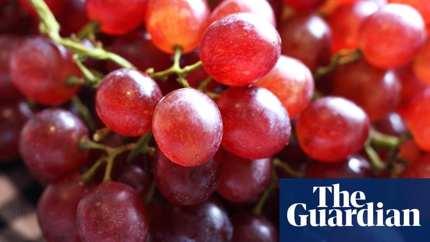 Can Red Grapes Help Us Avoid Getting Sick?