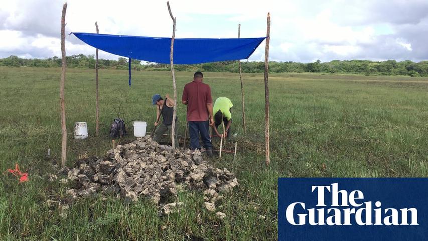 Ancient Belize Canals: A 4,000-Year-Old Fishing Secret