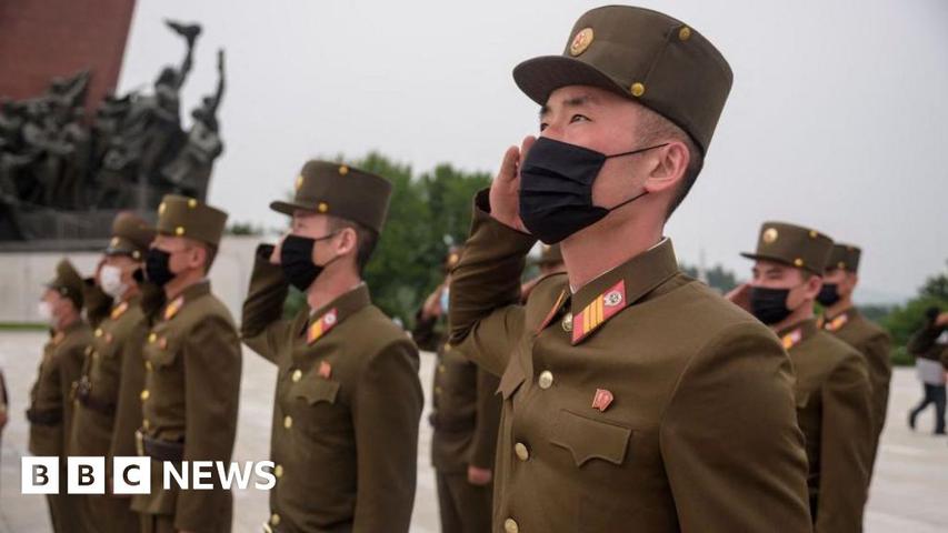 North Korean Soldiers in Ukraine's War