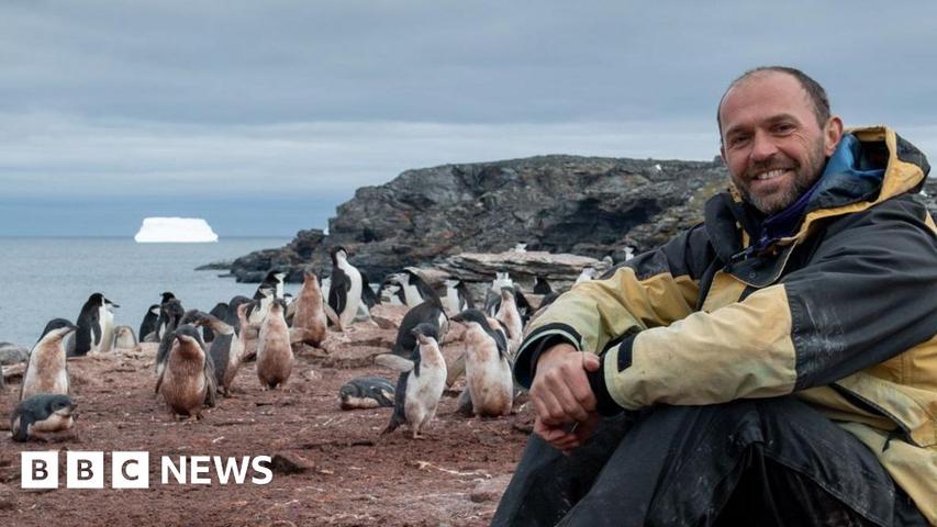 Christmas with Penguins!