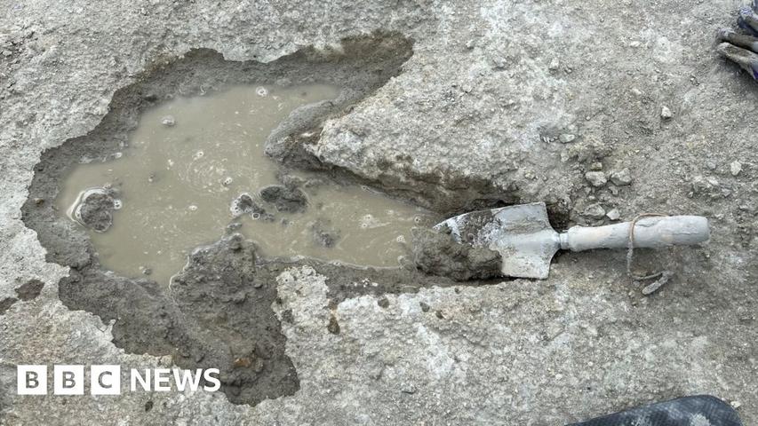 Jurassic Quarry Yields Amazing Discovery!