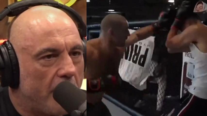 Rogan's Shock: Strickland's Brutal Sparring Match