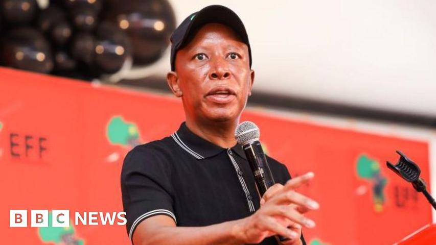 Mr. Malema Can't Go to England!