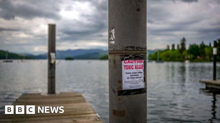 Water Companies in Trouble!
