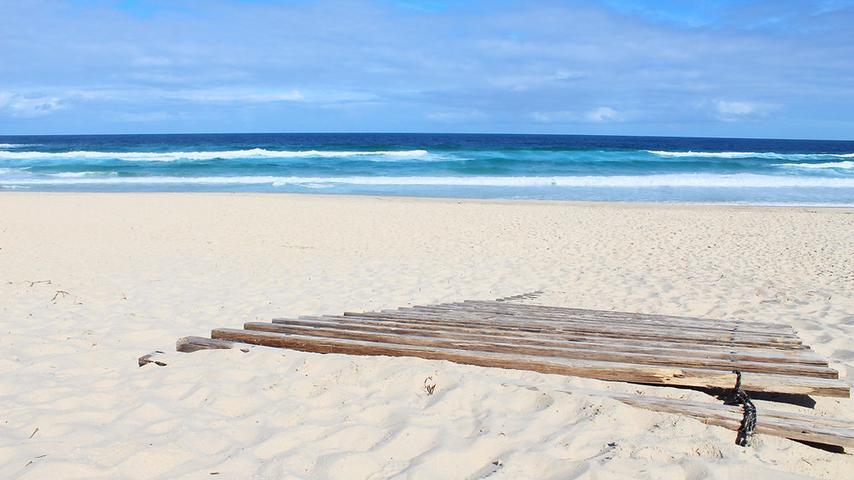 Fun Beaches on the NSW Coast!