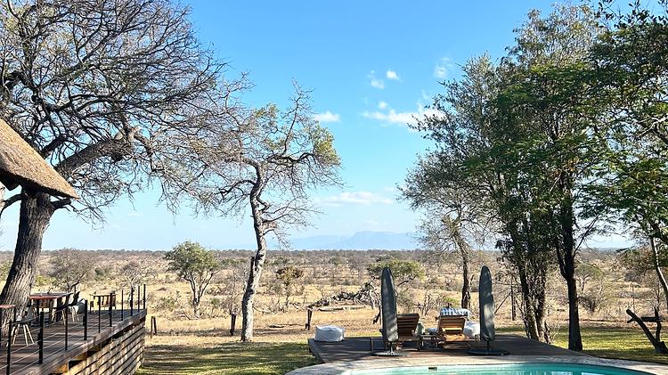 Amazing Animals and a Fun Safari!