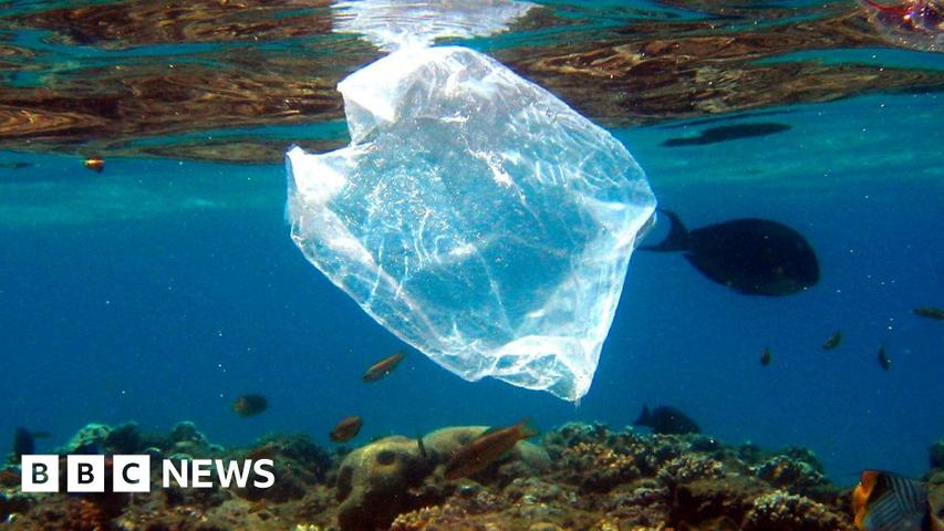 Less Plastic Bags on Beaches!