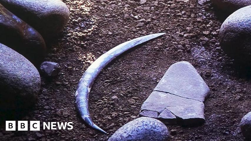 Ancient Polish Boomerang Rewrites History