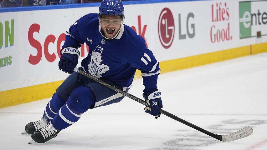 Maple Leafs Hockey:  Time for Some Changes!
