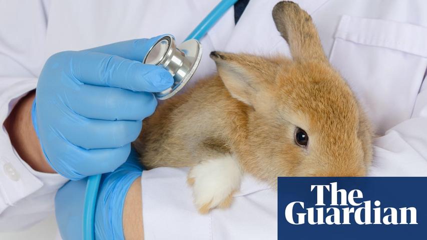 EPA's Lab Animals Need Homes!