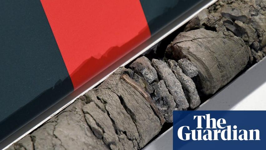 Dinosaur Bone Found Under the Museum!