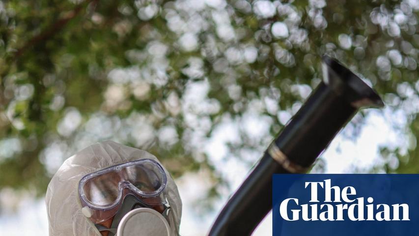 The Mosquito Virus and the Worried People