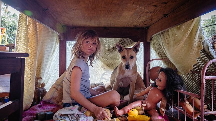Bobo's Amazing African Adventure