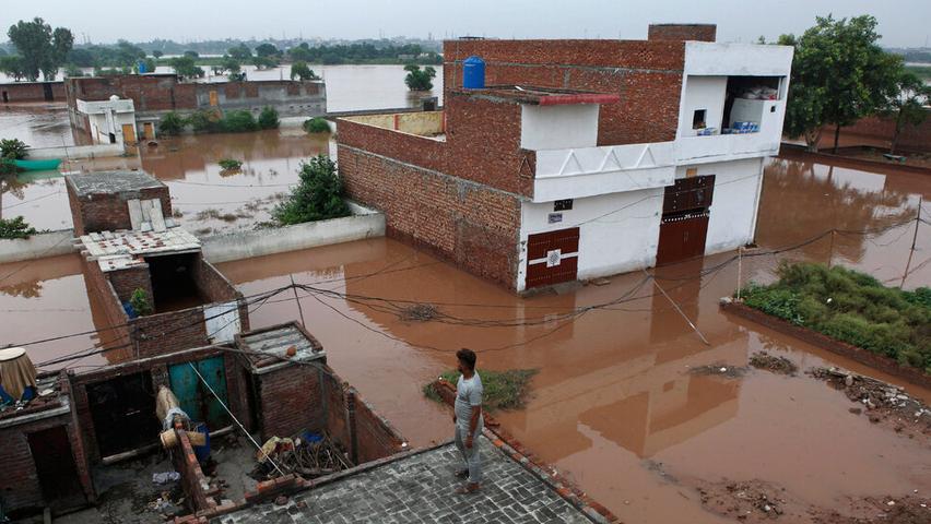 Punjab Floods: Pakistan's Agricultural Crisis