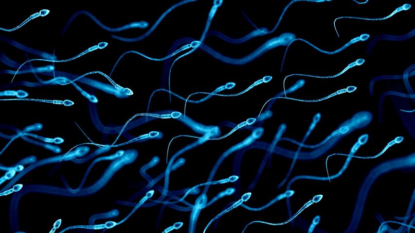 Older Dads' Sperm May Carry More Risk