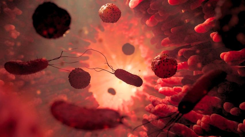 Happy Tummies Help Sad Feelings Go Away!