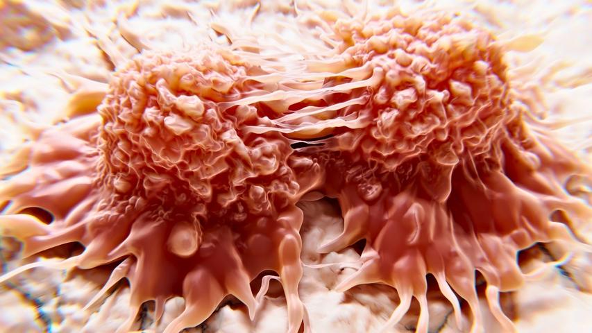 Magic Light Zaps Away Bad Cells!