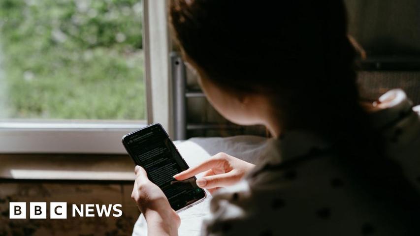 Bad Guys on the Internet Trick Girls!