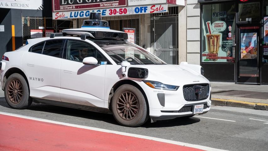 Sad News About a Furry Friend