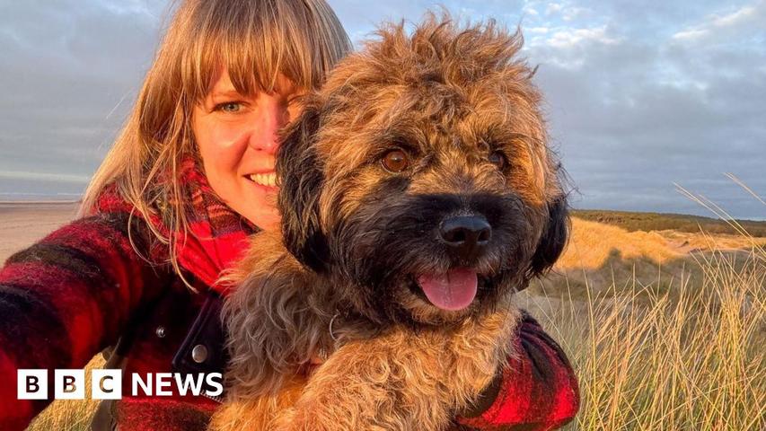 Your Puppy's Super Old Story