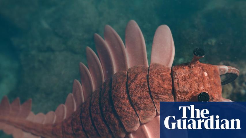 Sunshine Helped Animals Grow Super Fast Long Ago!