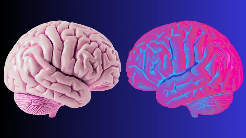 How Your Brain Knows What is 'You'!