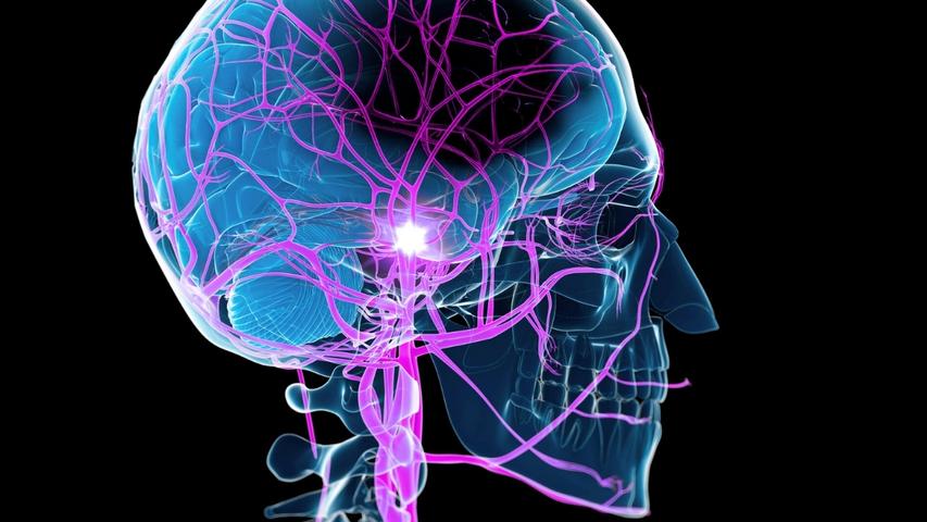 New Stroke Recovery Strategy Discovered