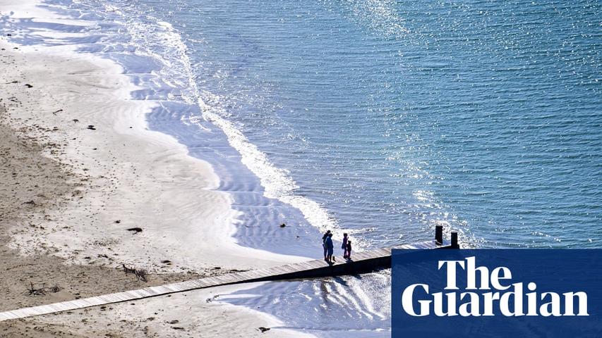 Uh Oh! Poo Water In Wellington's Ocean