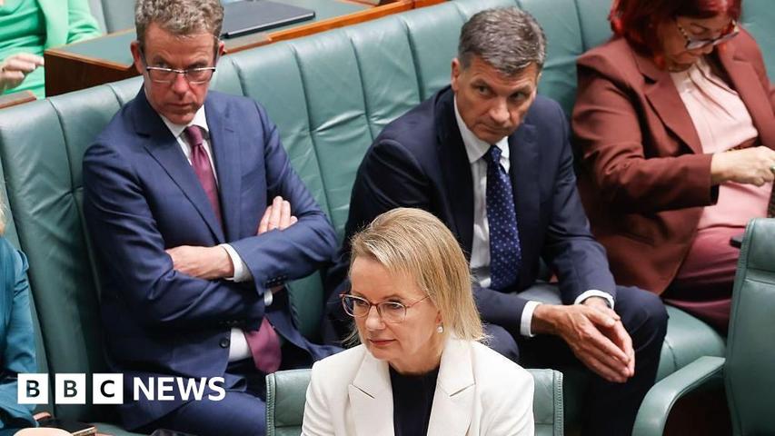 New Leader for the Liberal Party!