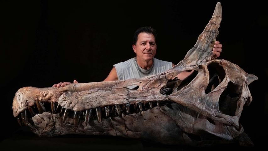 Amazing Dinosaur Found Far Away From Water!