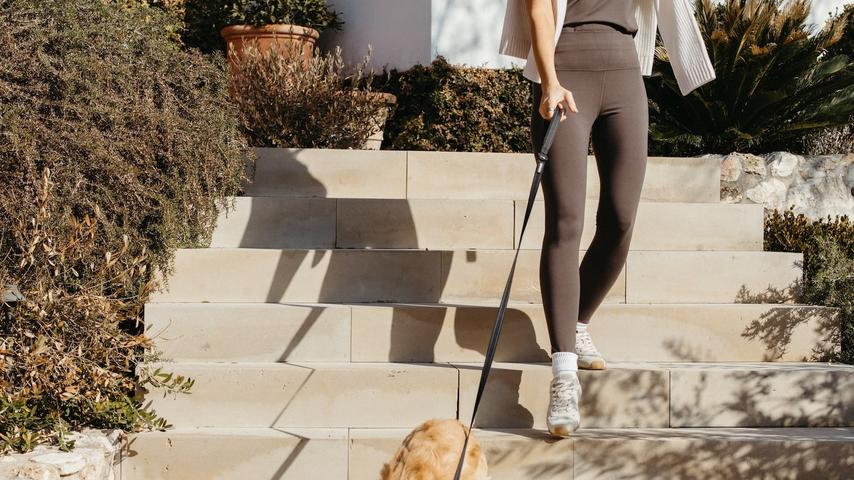 How Your Mornings Can Make Your Day Super Fun!