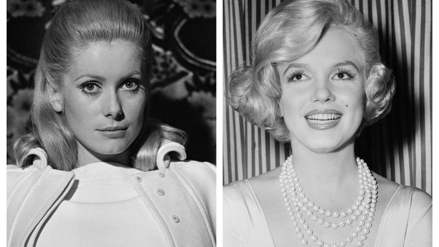 A Fun Marilyn Monroe Book!