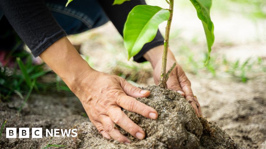 Local Fund Supports Greener Community Projects