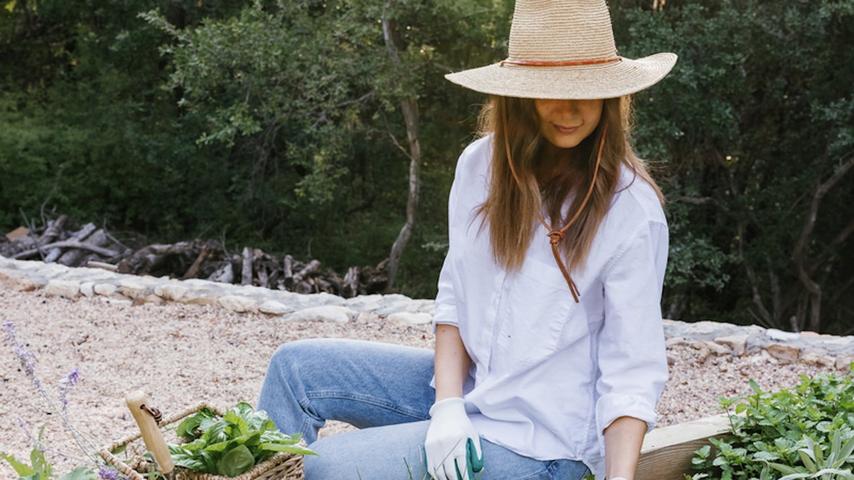 Super Easy Plants for Your Kitchen!