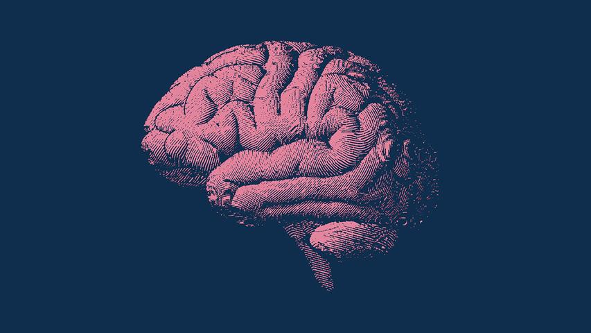 This Special Diet Might Make Your Brain Age Slower